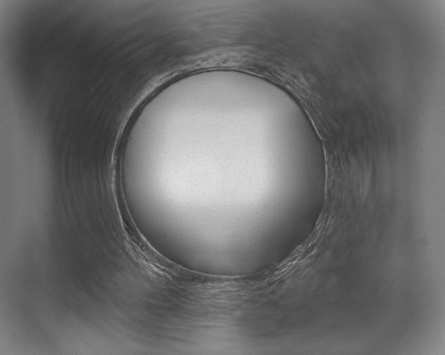 X0000070240100200606020943