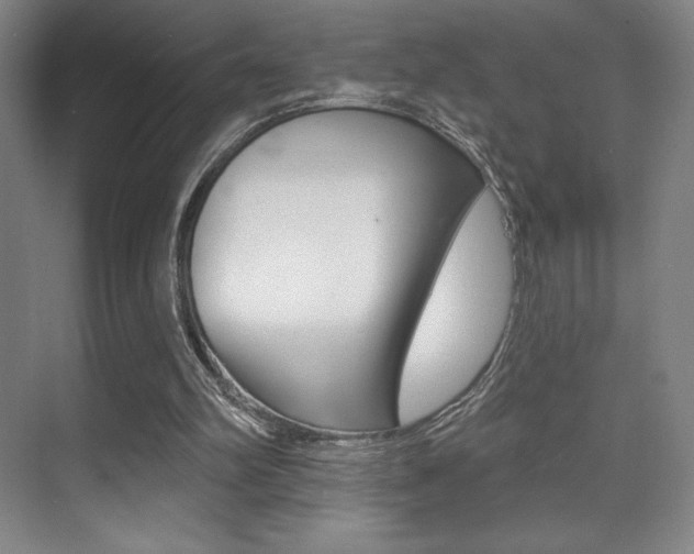 X0000070240102200606020943