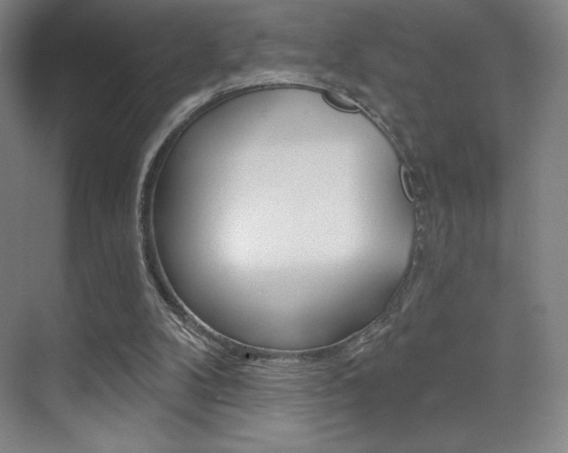 X0000070240104200606020943