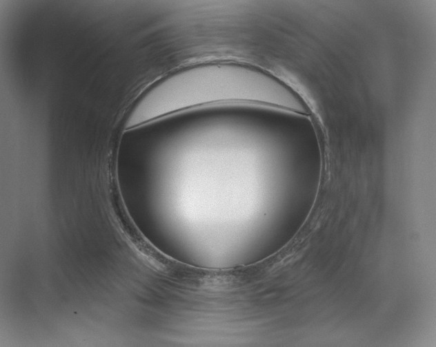 X0000070240105200606020943