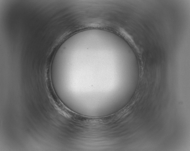 X0000070240106200606020943