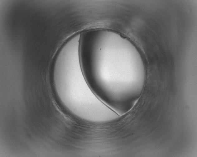 X0000070240107200606020943