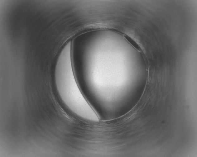 X0000070240109200606020943