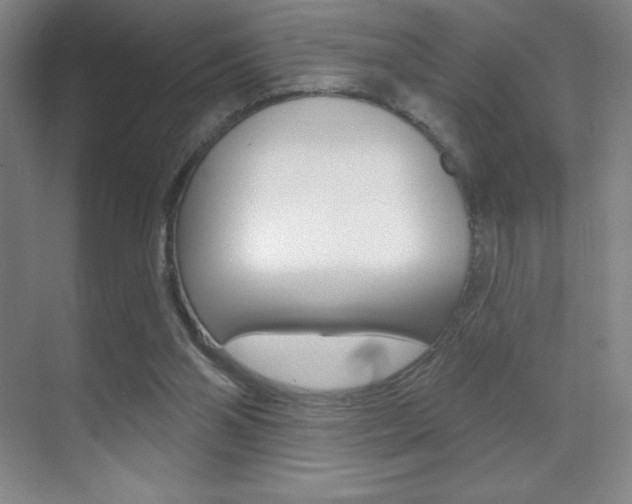X0000070240110200606020943