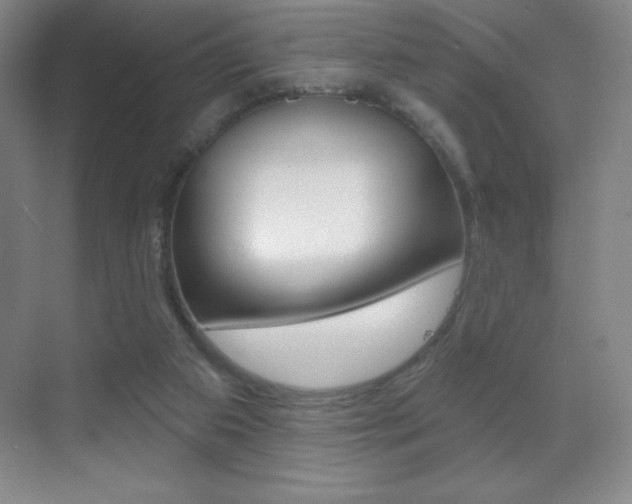 X0000070240113200606020943