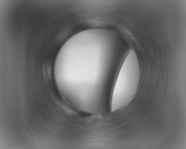 X0000070240124200606020943