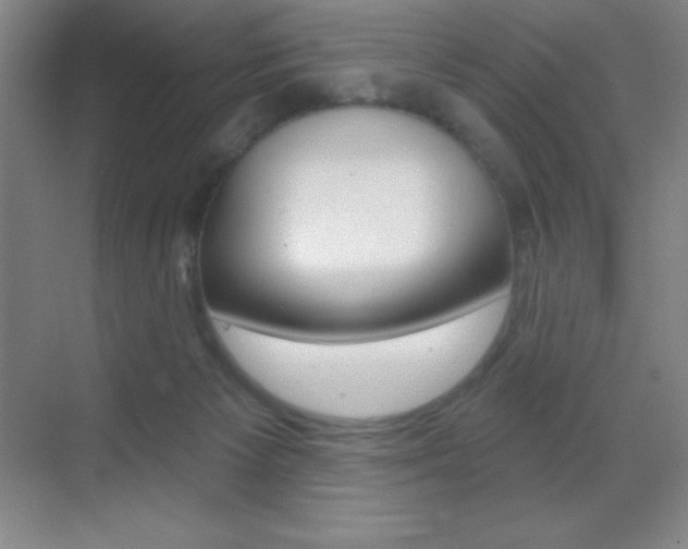 X0000070240125200606020943