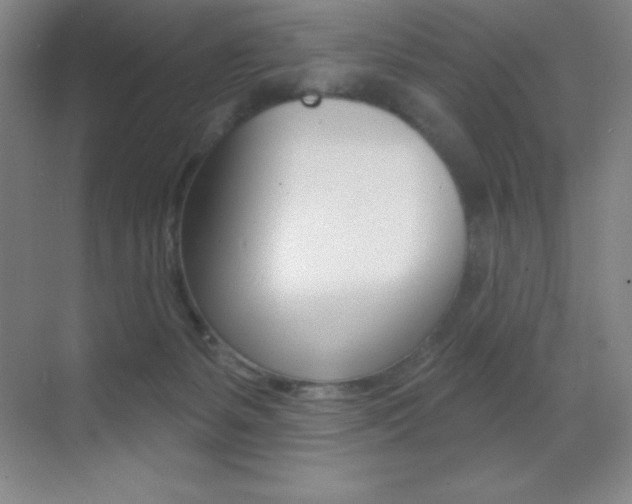 X0000070240127200606020942