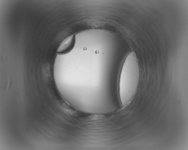X0000070240128200606020942