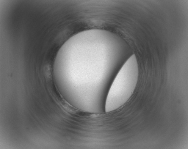 X0000070240130200606020942
