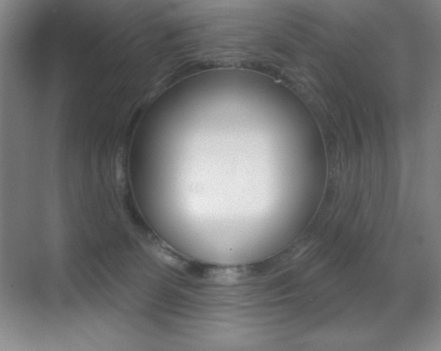 X0000070240131200606020942