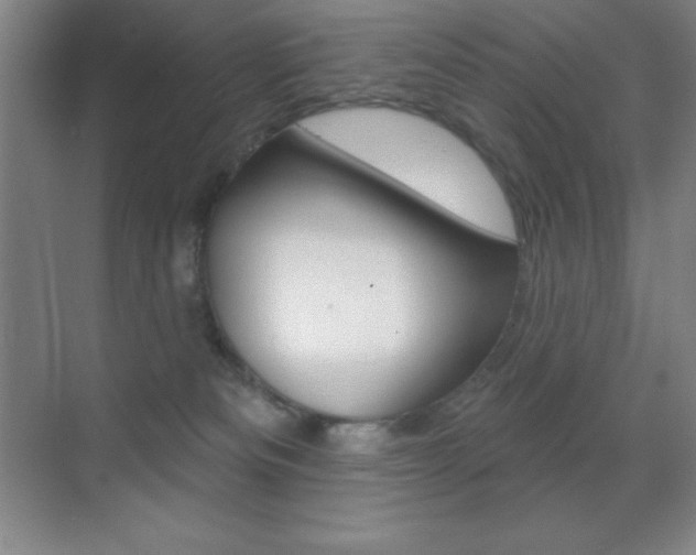 X0000070240133200606020942