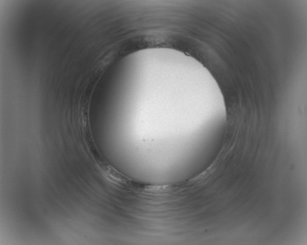X0000070240136200606020942