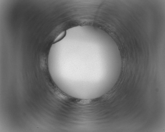 X0000070240138200606020942