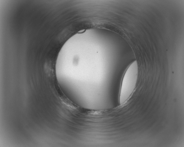 X0000070240140200606020942