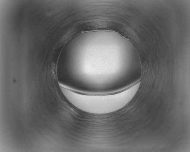 X0000070240141200606020942