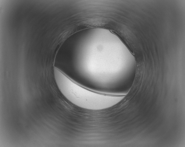 X0000070240143200606020942