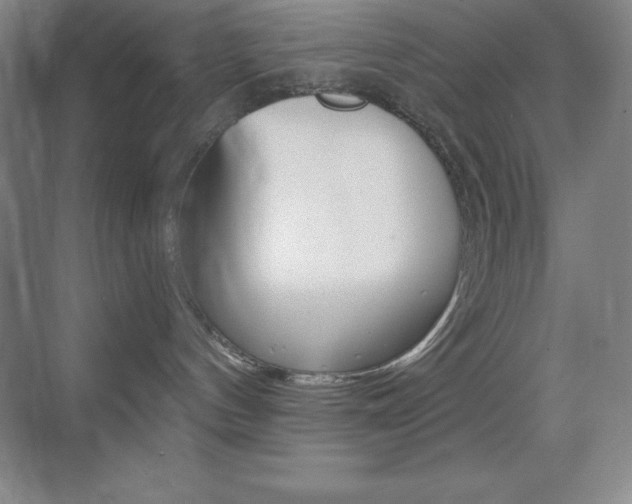 X0000070240144200606020942