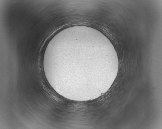 X0000070240146200606020941