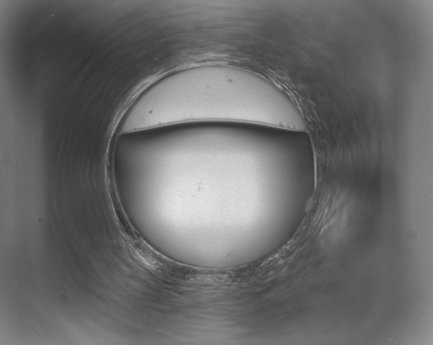 X0000070240147200606020941