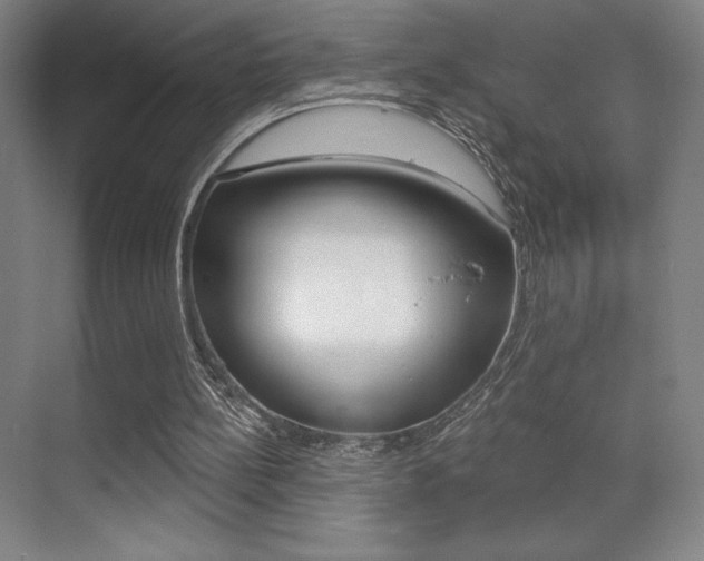 X0000070240148200606020941