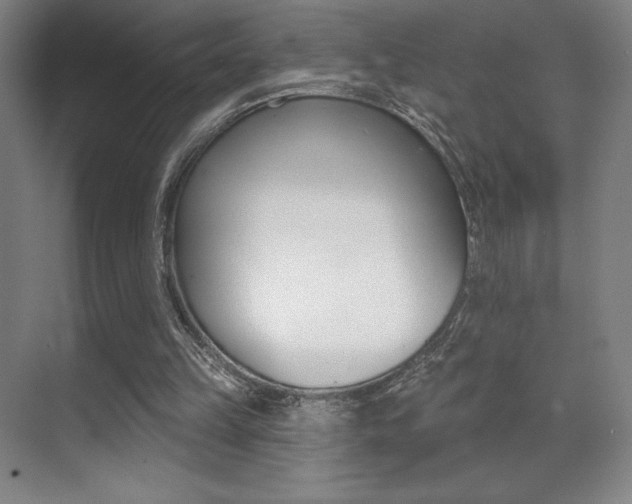 X0000070240149200606020941