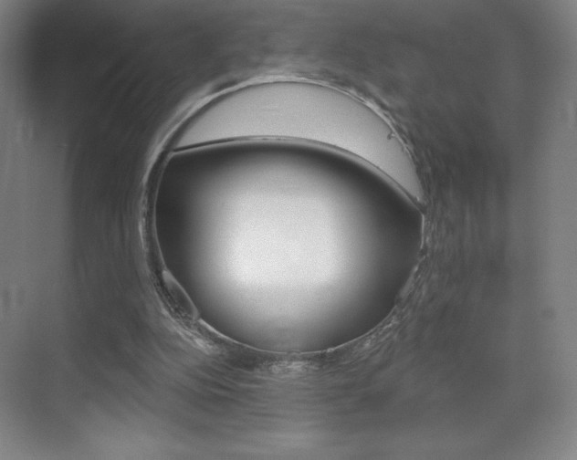 X0000070240152200606020941