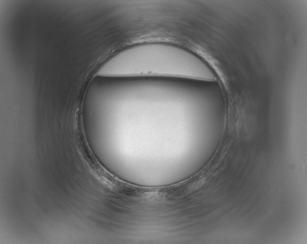 X0000070240153200606020942