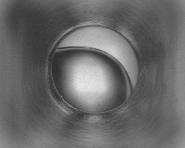 X0000070240156200606020942