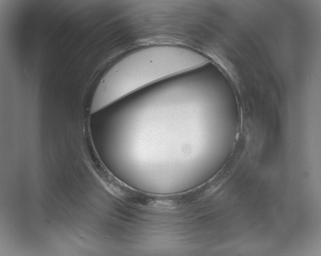X0000070240157200606020942