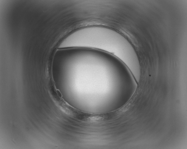 X0000070240158200606020942