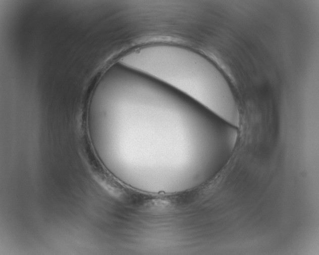X0000070240159200606020942
