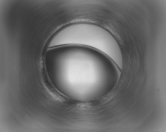 X0000070240160200606020942