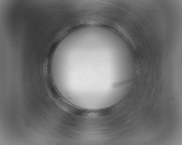 X0000070240163200606020942