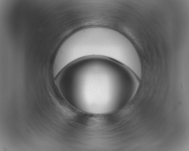 X0000070240164200606020942