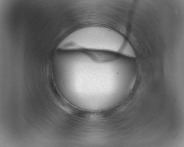 X0000070240165200606020942