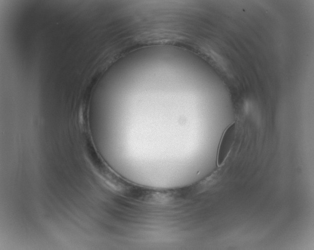 X0000070240166200606020942