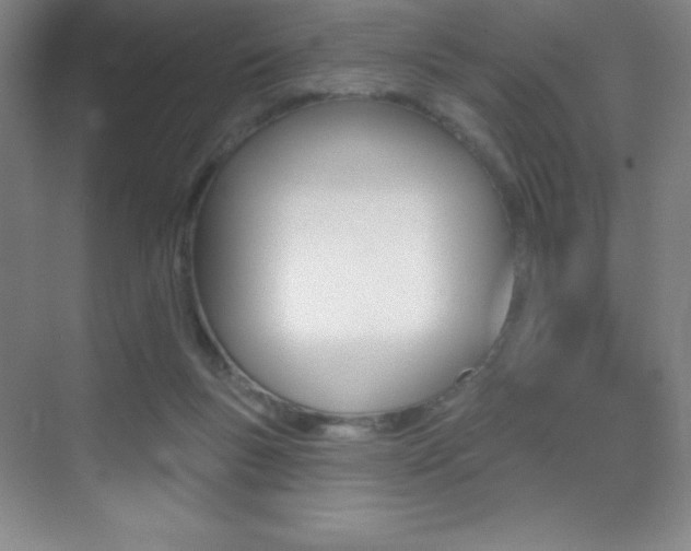 X0000070240167200606020942