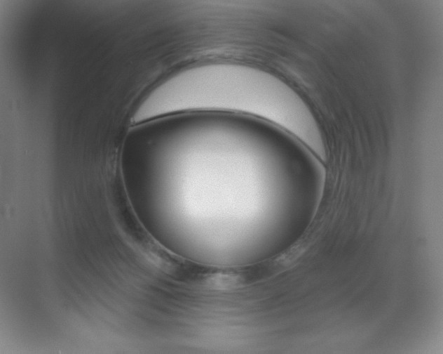 X0000070240168200606020942