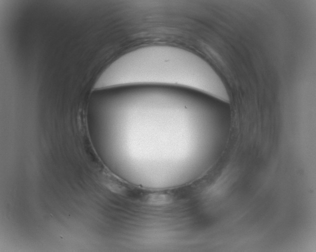 X0000070240169200606020942