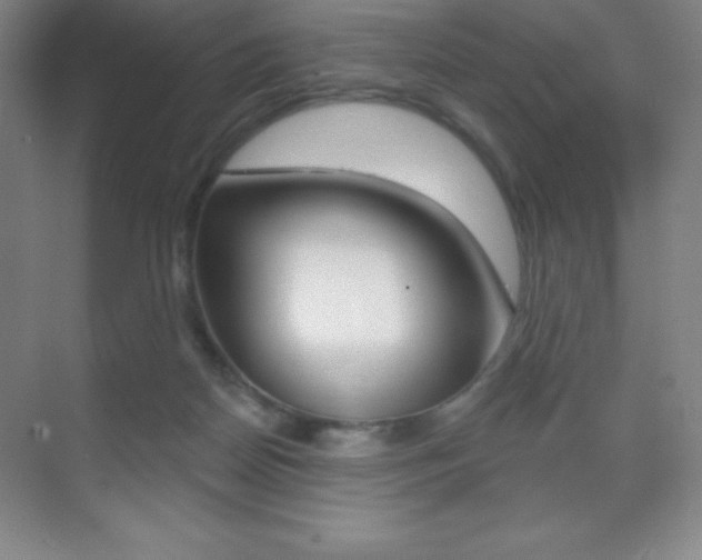 X0000070240170200606020942