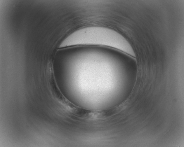X0000070240172200606020942