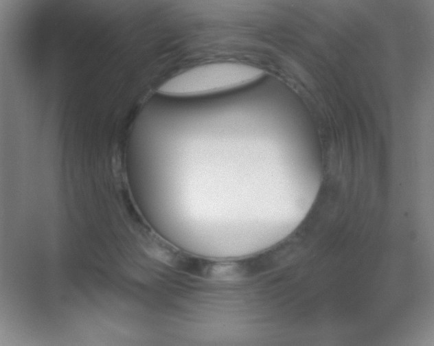 X0000070240173200606020942