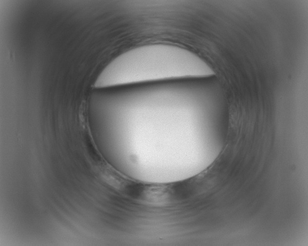X0000070240175200606020942