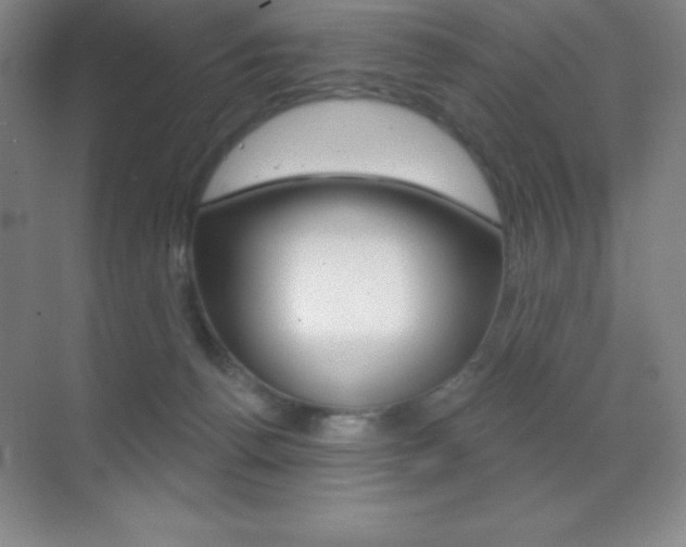 X0000070240176200606020942