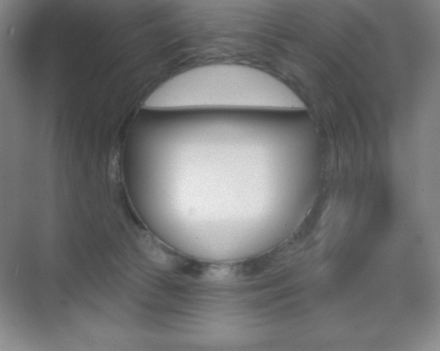 X0000070240177200606020942