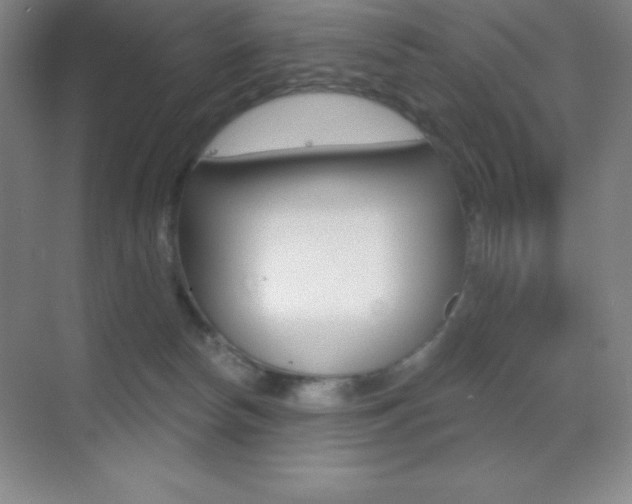 X0000070240178200606020942