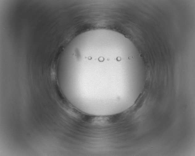 X0000070240179200606020942