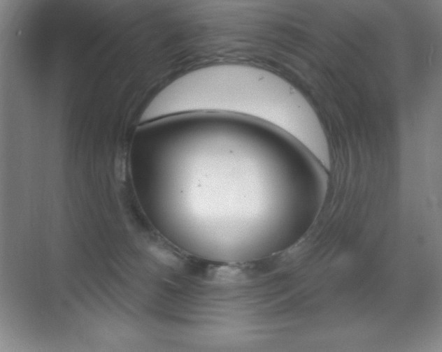 X0000070240180200606020942
