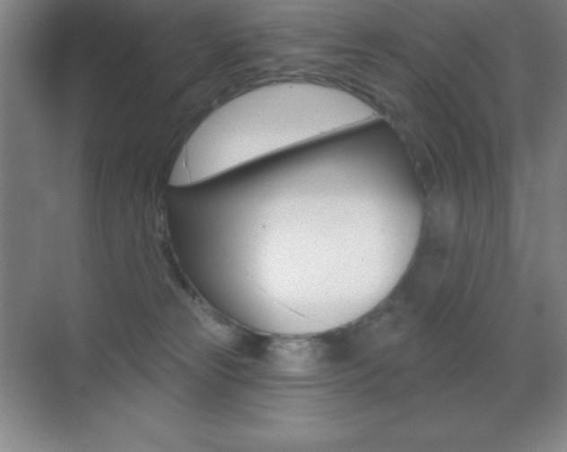 X0000070240181200606020942